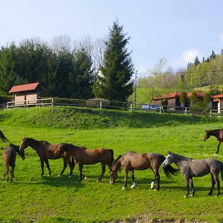 Szalas Muflon - Mufflonhuette *