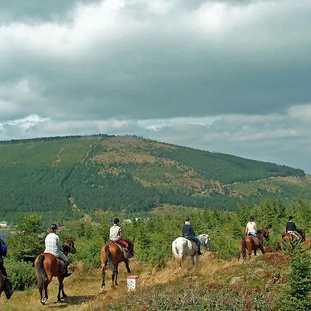 Szalas Muflon - Mufflonhuette