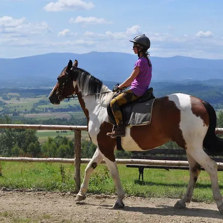 Szalas Muflon - Mufflonhuette * يلينيا غورا