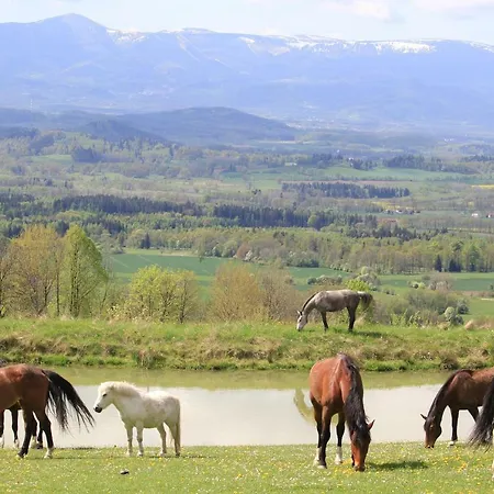 مزرعة للإقامة Szalas Muflon - Mufflonhuette