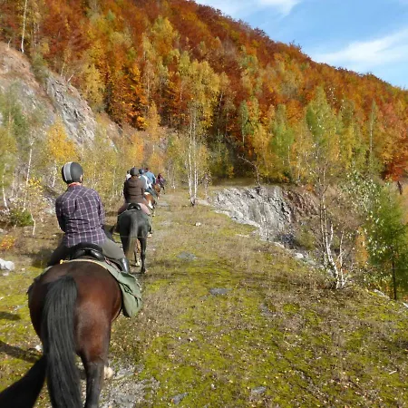 مزرعة للإقامة Szalas Muflon - Mufflonhuette يلينيا غورا