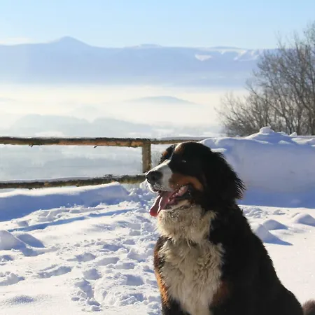 Szalas Muflon - Mufflonhuette يلينيا غورا