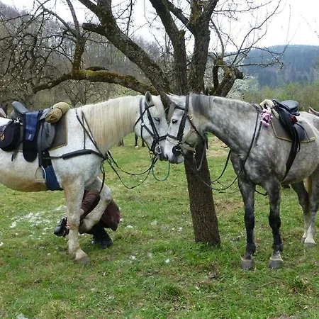 Szalas Muflon - Mufflonhuette * يلينيا غورا