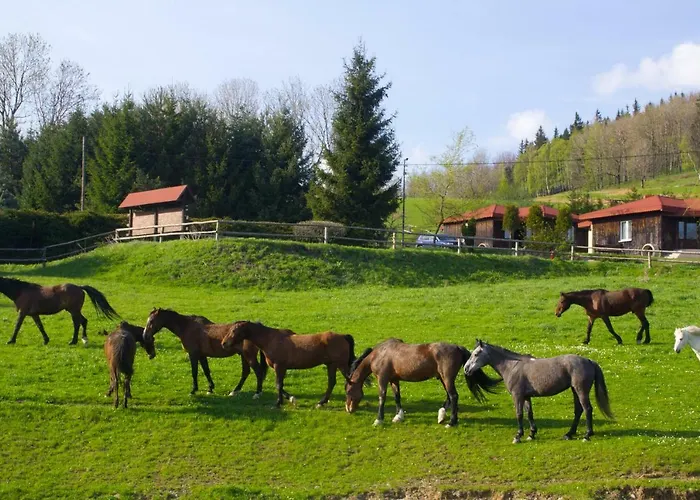 Szalas Muflon - Mufflonhuette *