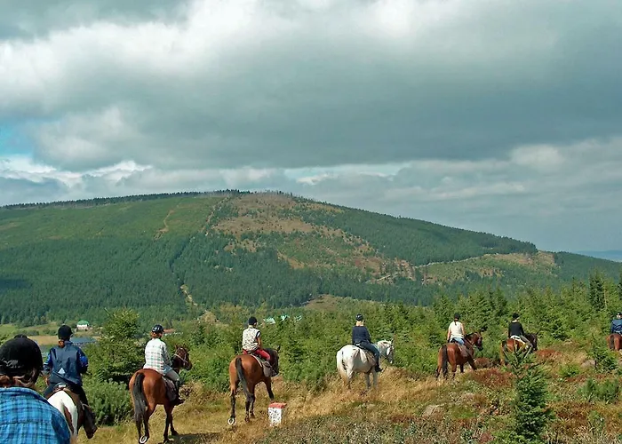 Szalas Muflon - Mufflonhuette