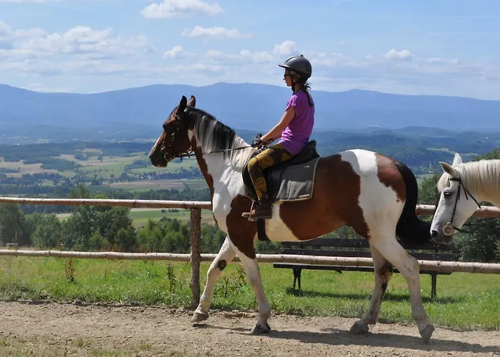 Szalas Muflon - Mufflonhuette * Jelení Hora