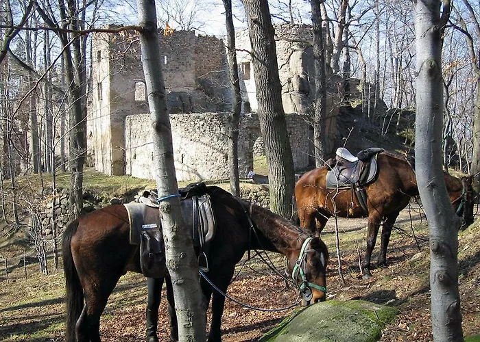Szalas Muflon - Mufflonhuette Farma *