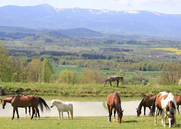 Farma Szalas Muflon - Mufflonhuette