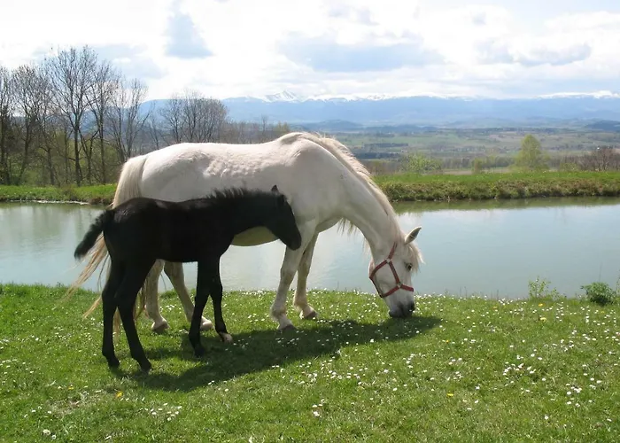 Farma Szalas Muflon - Mufflonhuette *