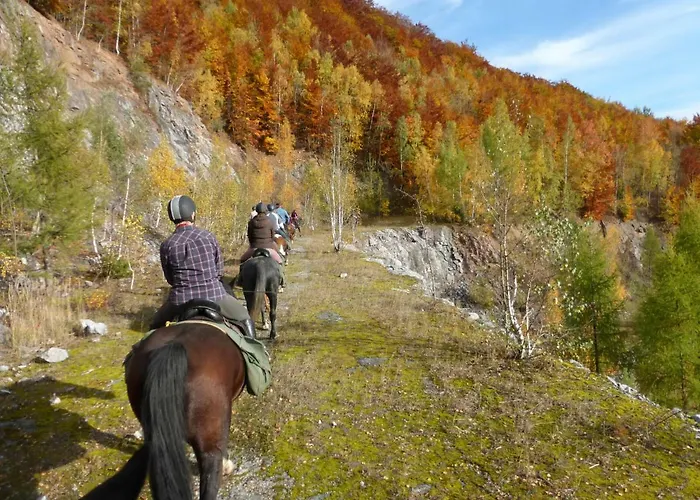 Farma Szalas Muflon - Mufflonhuette Jelení Hora