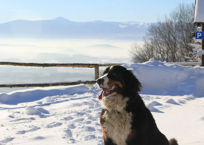 Szalas Muflon - Mufflonhuette Jelení Hora