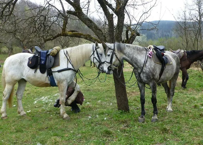 Szalas Muflon - Mufflonhuette * Jelení Hora