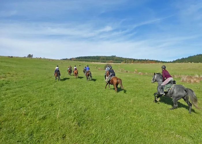 Szalas Muflon - Mufflonhuette * Jelení Hora